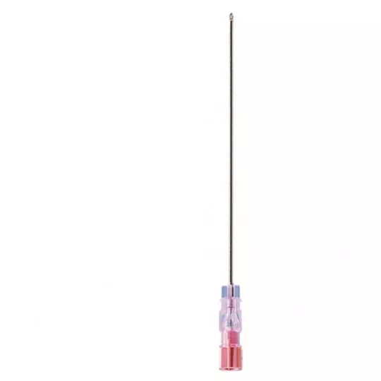 AIGUILLE P L G25