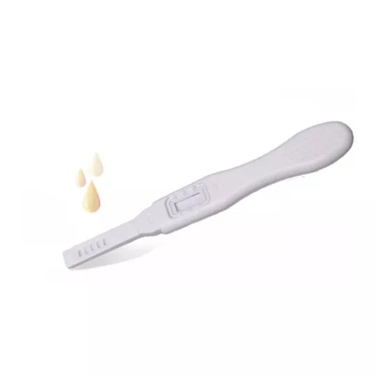 GOLDEN TIME TEST DE GROSSESSE B/1 GOLDEN TIME TEST DE GROSSESSE B/1