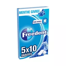 CHEWING GUM FREEDENT MENTHE GIVRE B/50
