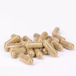 HARPAGOPHYTUM  POWERSANTE B/200 GEL