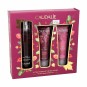 COFFRET CAUDALIE TRIO PARFUME