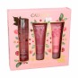 COFFRET CAUDALIE  PARFUME- ROSE DE VIGNE