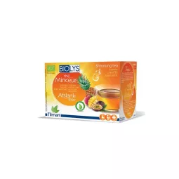 TISANE BIOLYS THE VERT MINCEUR P FORME